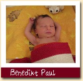 Benedikt Paul