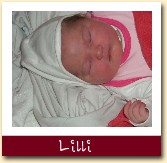 Lilli