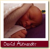 David Alexander