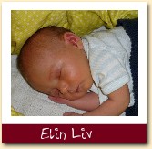 Elin Liv