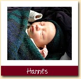 Hannes