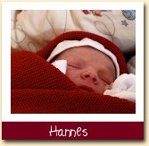 Hannes