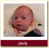 Jakob