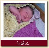 Laila