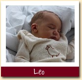 Leo