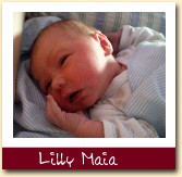 Lilly Maia