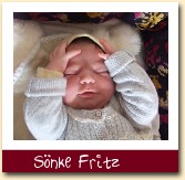 Snke Fritz