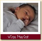 Vita Marine